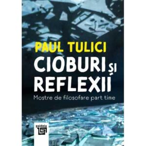 Cioburi și reflexii. Mostre de filosofare part time