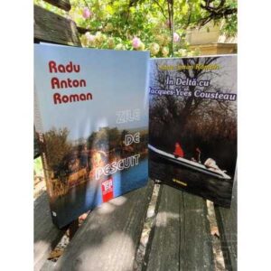 Radu Anton Roman – Litere 2 carti